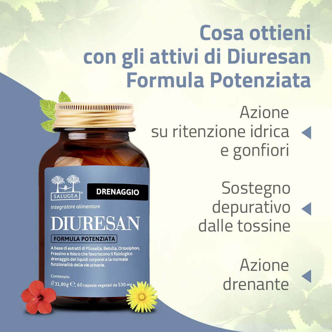 Percorso Vene e Circolazione - Image 3